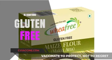 Is Kantong Gluten-Free? Exploring Ingredients and Dietary Suitability