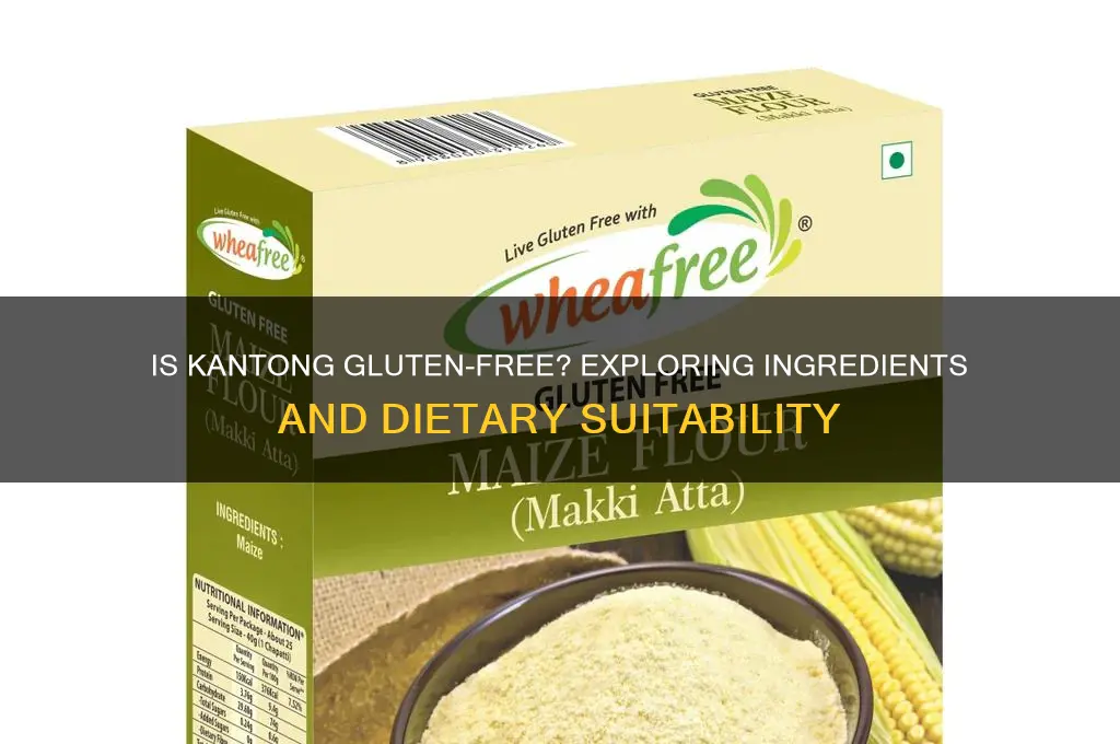 is kantong gluten free
