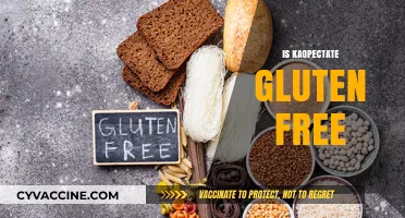 Is Kaopectate Gluten-Free? A Comprehensive Guide for Dietary Concerns