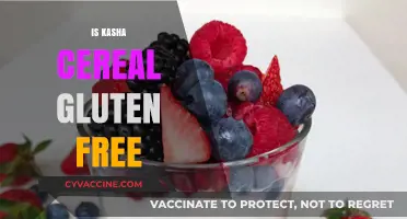 Is Kasha Cereal Gluten-Free? A Nutritious Breakfast Option Explained