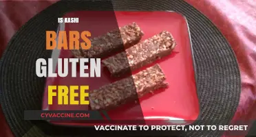 Are Kashi Bars Gluten-Free? A Complete Guide for Dietary Needs
