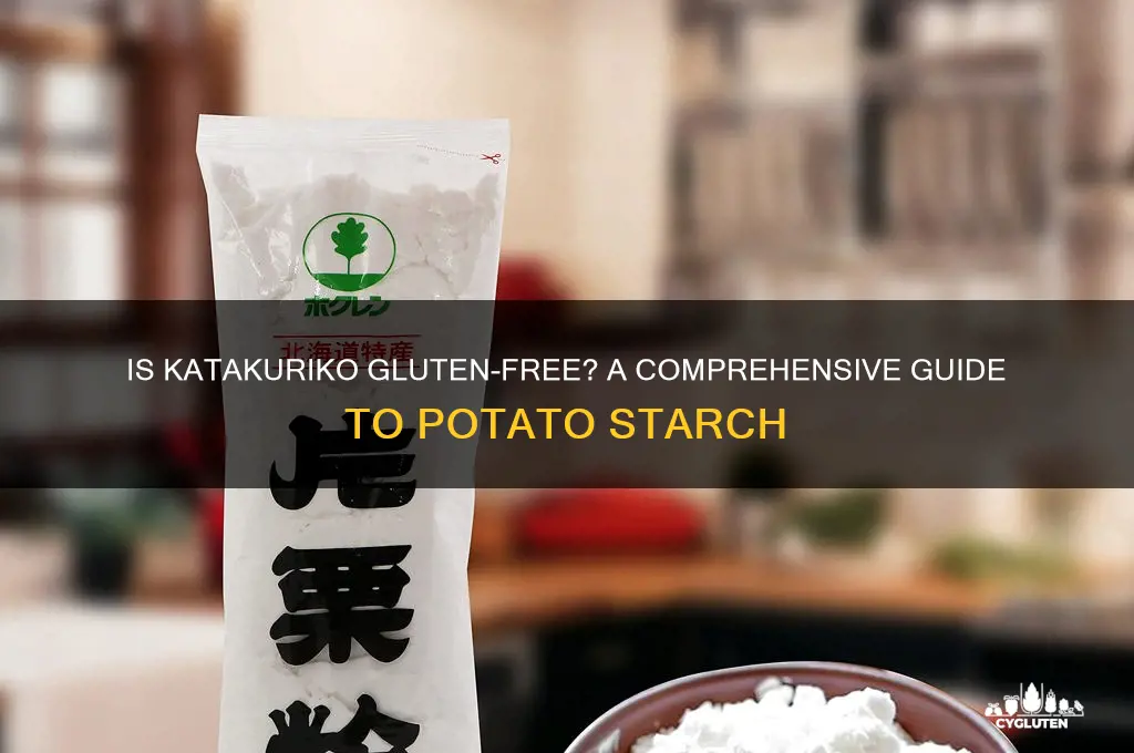 is katakuriko gluten free