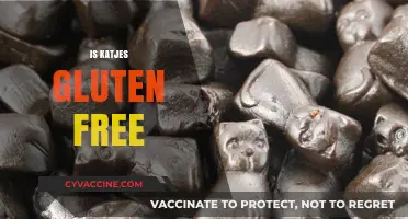 Is Katjes Gluten-Free? A Sweet Answer for Your Diet