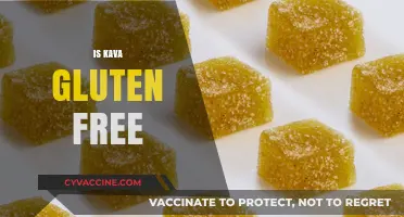 Is Kava Gluten-Free? Exploring the Facts for Celiac Sufferers