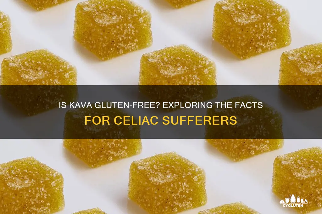 is kava gluten free