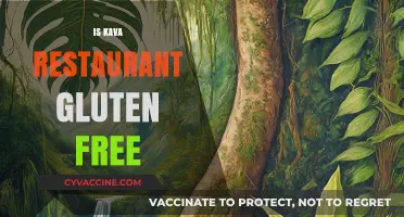 Is Kava Restaurant Gluten-Free? A Comprehensive Guide for Diners