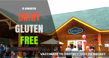 Is Kawartha Dairy Gluten-Free? A Comprehensive Guide for Ice Cream Lovers
