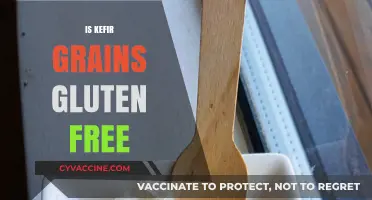 Is Kefir Grains Gluten-Free? A Comprehensive Guide for Celiacs