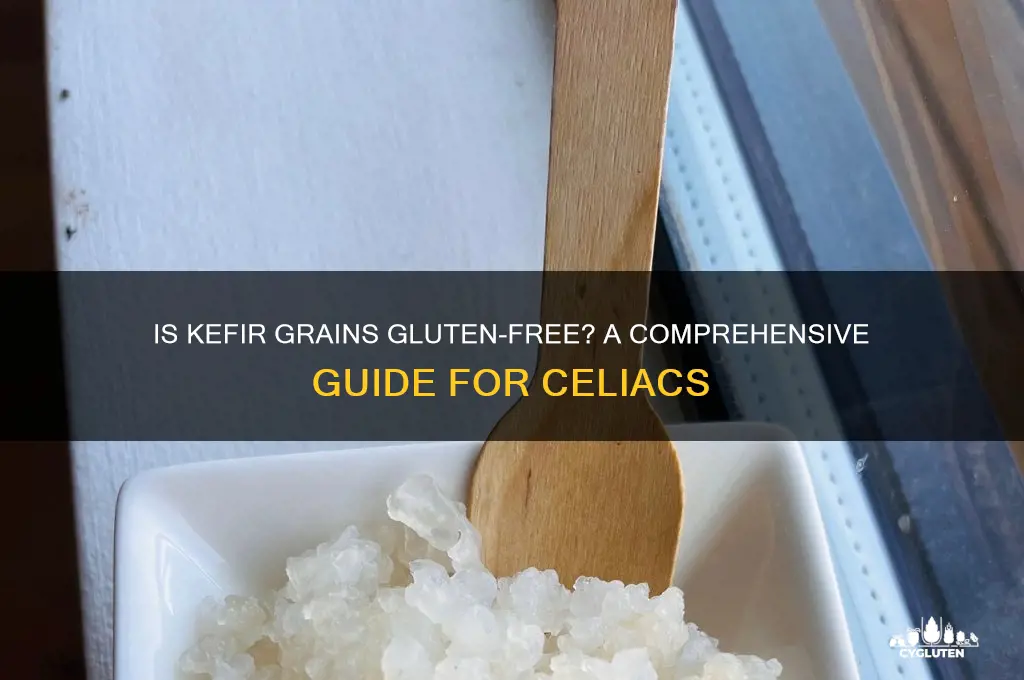 is kefir grains gluten free