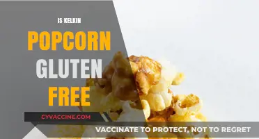 Is Kelkin Popcorn Gluten-Free? A Crunchy Snack Fact Check