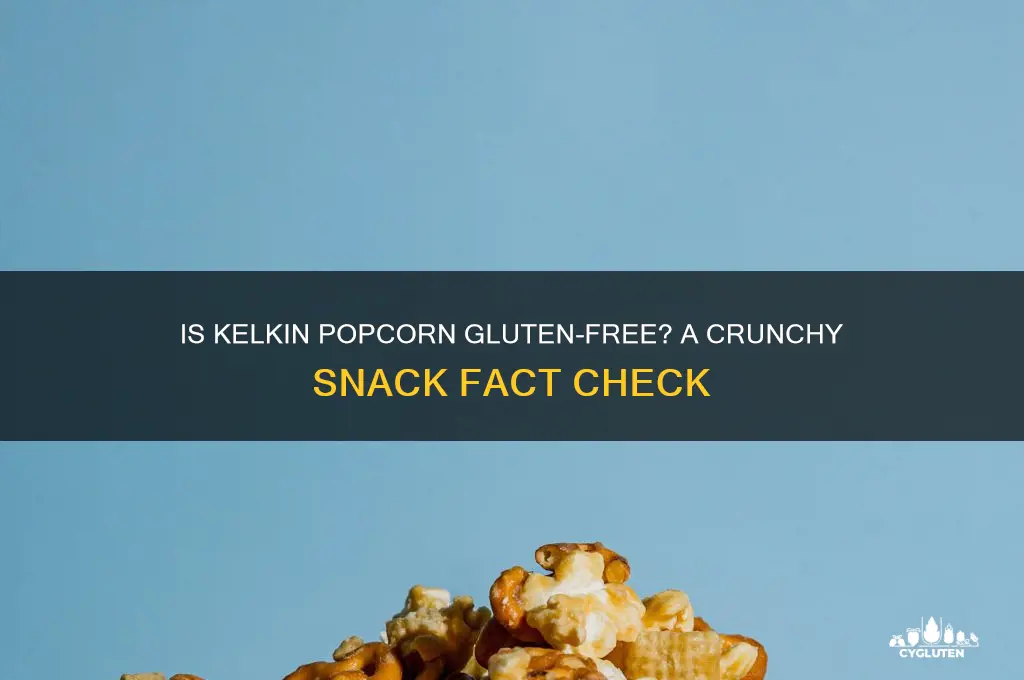 is kelkin popcorn gluten free