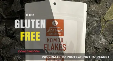 Is Kelp Gluten-Free? Unraveling the Truth About Seaweed Nutrition