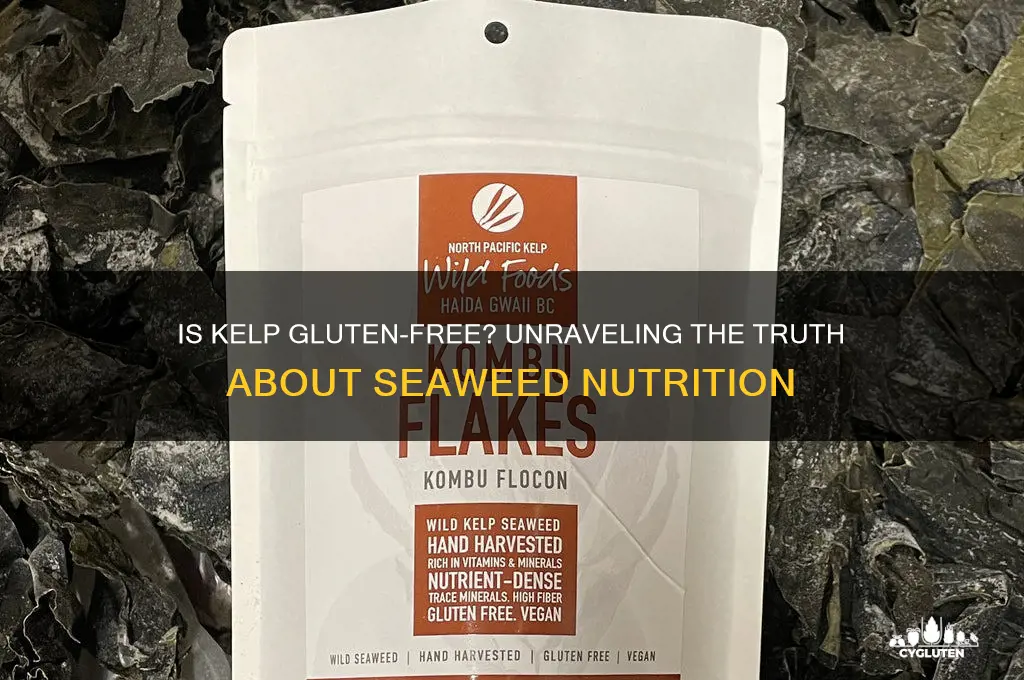 is kelp gluten free