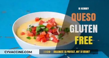 Is Kerbey Lane's Famous Queso Gluten-Free? Find Out Here