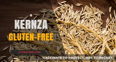 Is Kernza Gluten-Free? Unraveling the Truth About This Ancient Grain