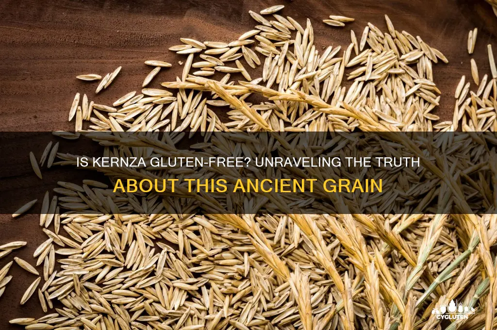 is kernza gluten-free