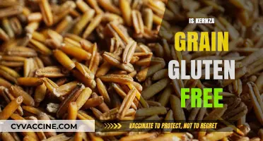 Is Kernza Grain Gluten-Free? Unraveling the Truth for Celiac Diets