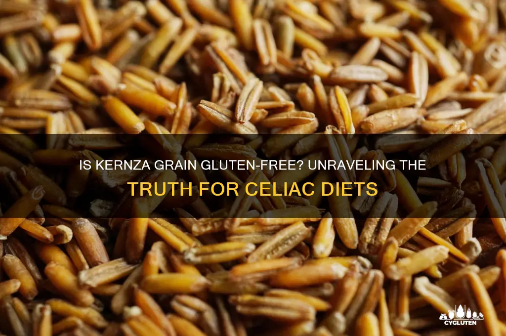 is kernza grain gluten free