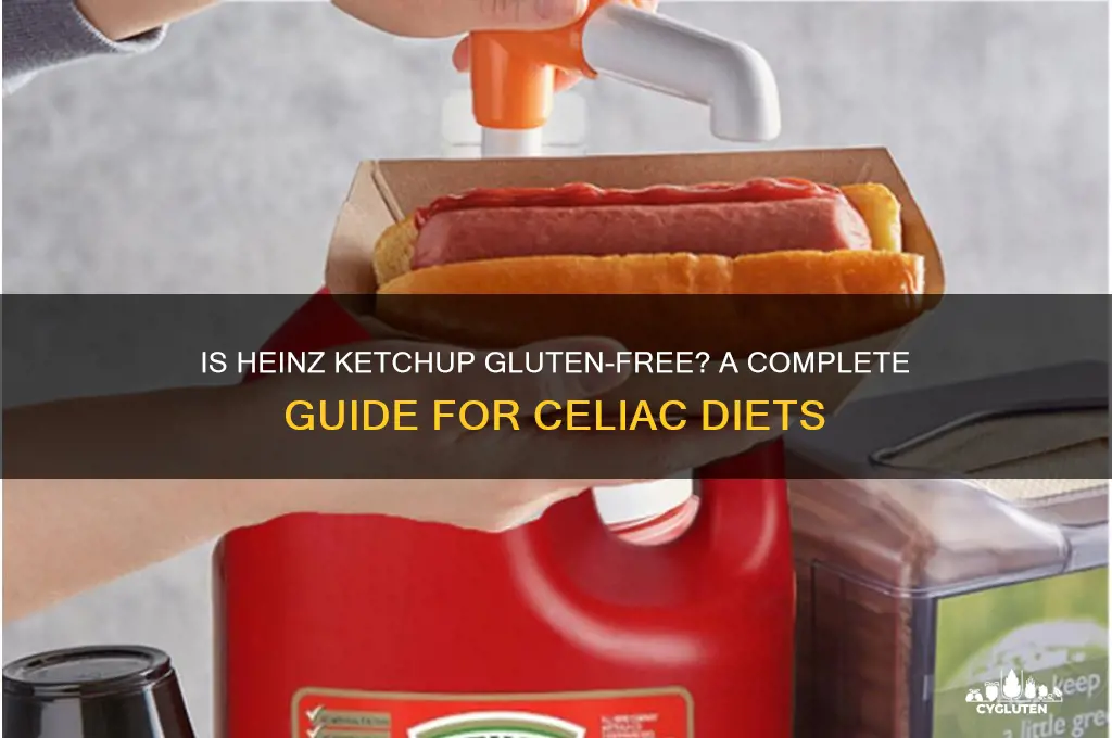 is ketchup gluten free heinz