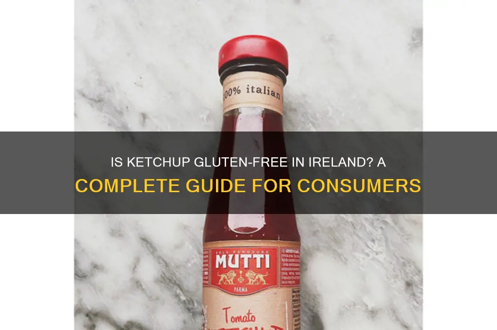 is ketchup gluten free ireland