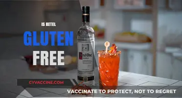 Is Ketel One Gluten-Free? A Vodka Lover's Guide