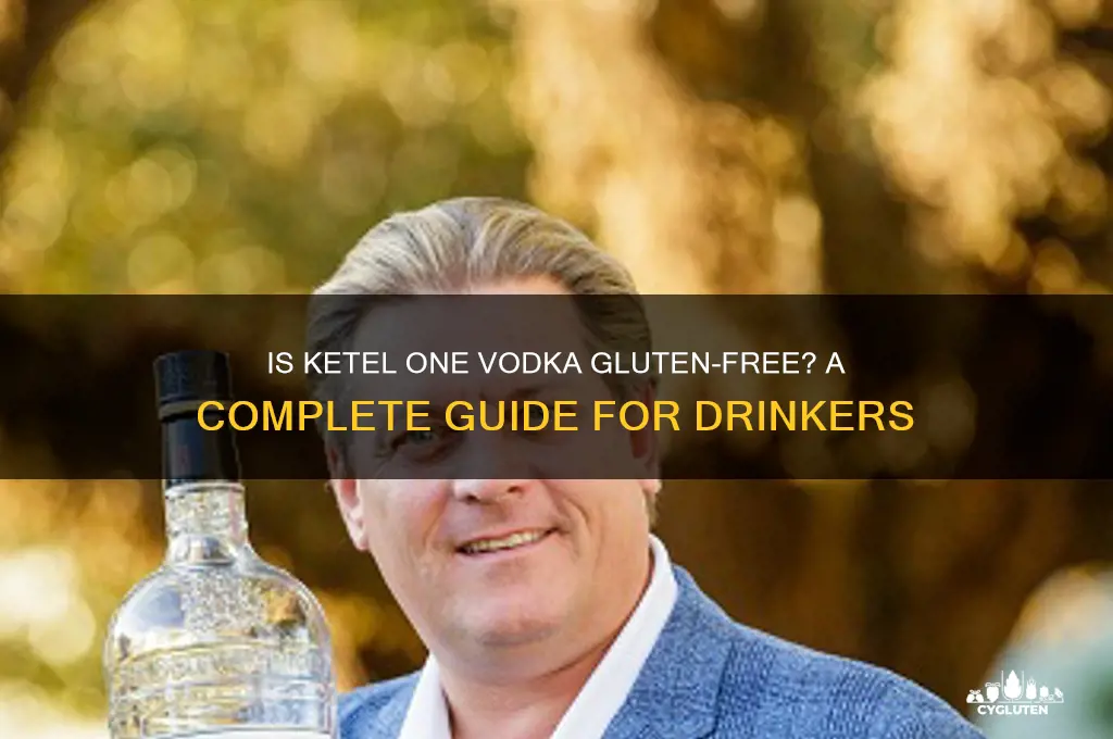 is ketel vodka gluten free