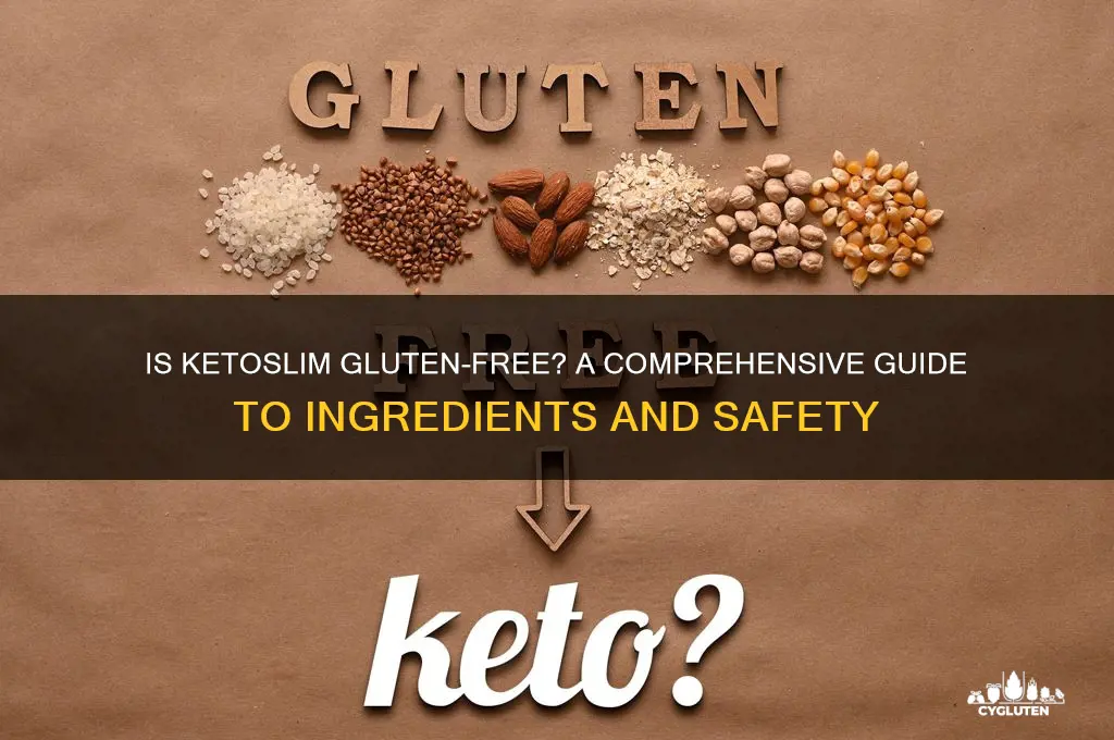 is ketoslim gluten free
