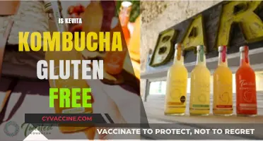 Is Kevita Kombucha Gluten-Free? A Complete Guide for Health-Conscious Consumers