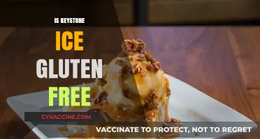 Is Keystone Ice Gluten-Free? A Complete Guide for Beer Lovers