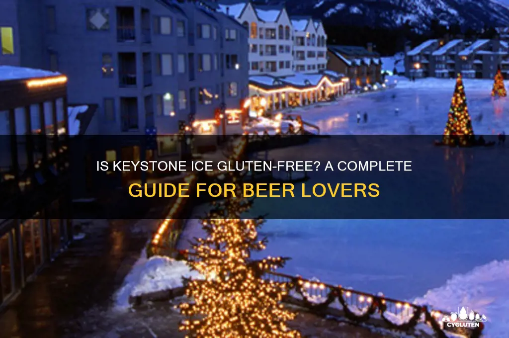 is keystone ice gluten free
