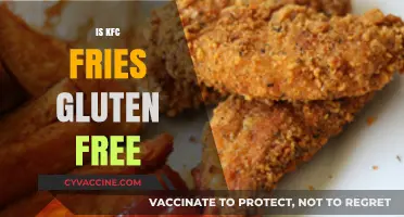 Are KFC Fries Gluten-Free? A Detailed Look at Ingredients