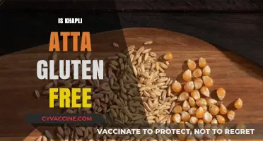 Is Khapli Atta Gluten-Free? Unraveling the Truth for a Healthy Diet