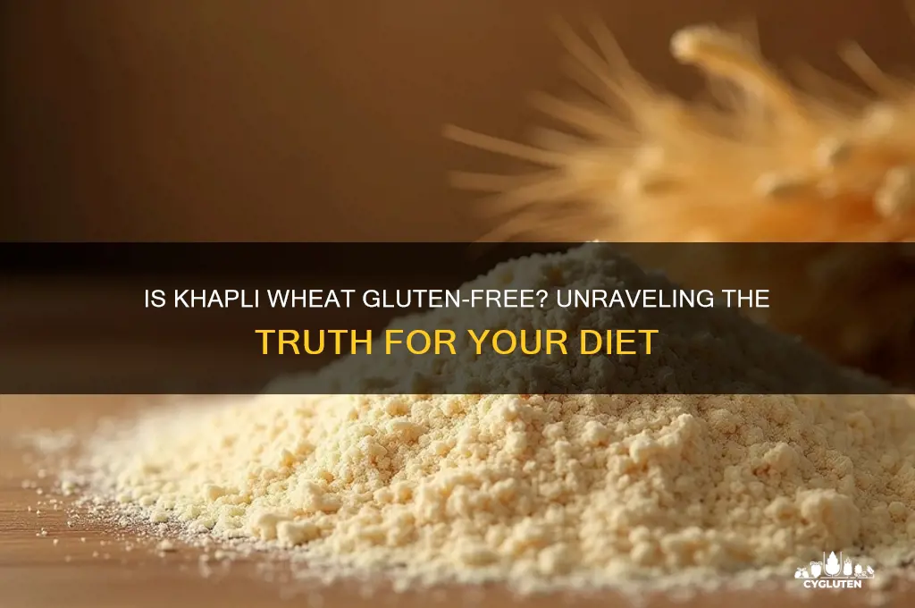 is khapli wheat gluten free