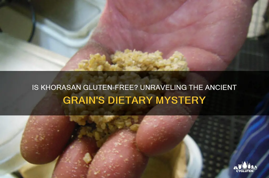 is khorasan gluten free