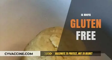 Is Khoya Gluten-Free? A Comprehensive Guide for Dietary Needs