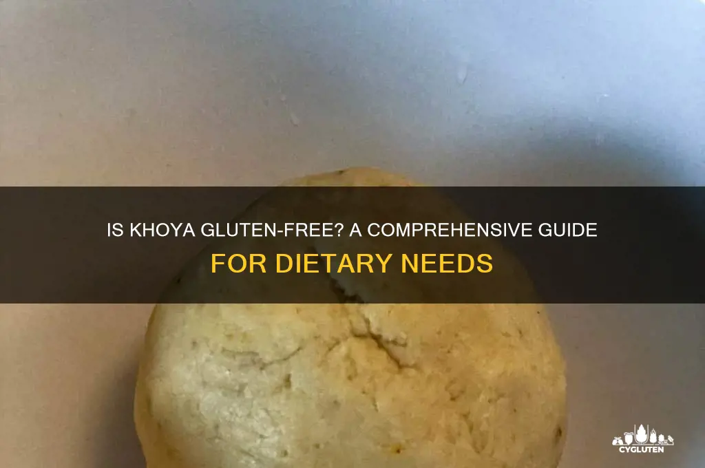 is khoya gluten free