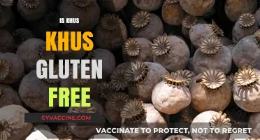 Is Khus Khus Gluten-Free? A Complete Guide to This Ancient Seed