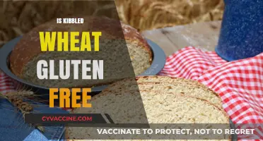 Is Kibbled Wheat Gluten-Free? Unraveling the Facts for Your Diet