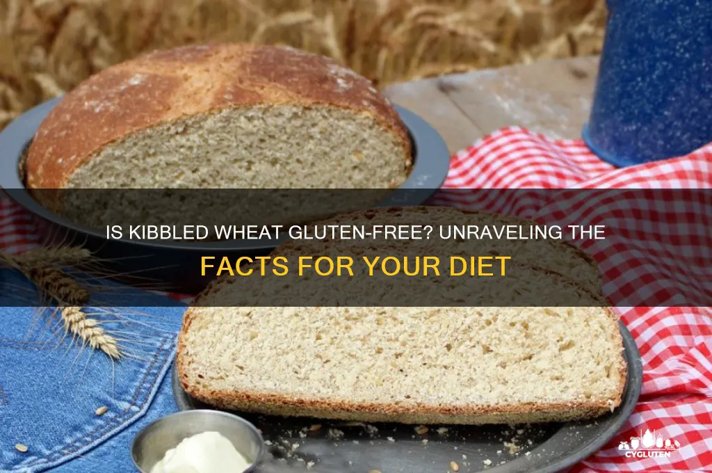 is kibbled wheat gluten free