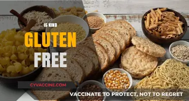 Is Kind Gluten Free? Exploring the Brand's Snack Options