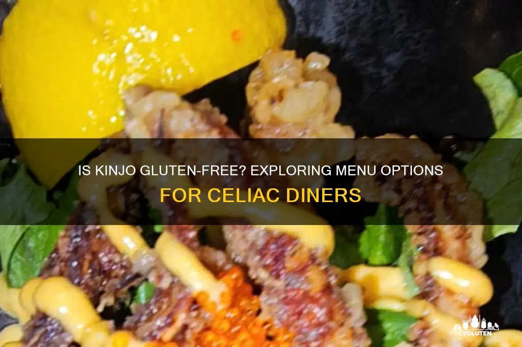 is kinjo gluten free
