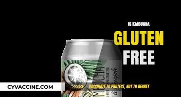 Is Kombucha Gluten-Free? A Complete Guide to Your Fermented Favorite