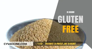 Is Kodri Gluten-Free? A Complete Guide to This Ancient Grain