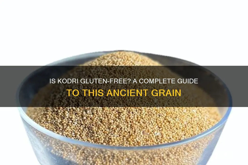 is kodri gluten free