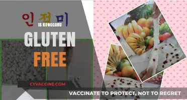 Is Konggaru Gluten-Free? A Comprehensive Guide to Its Ingredients