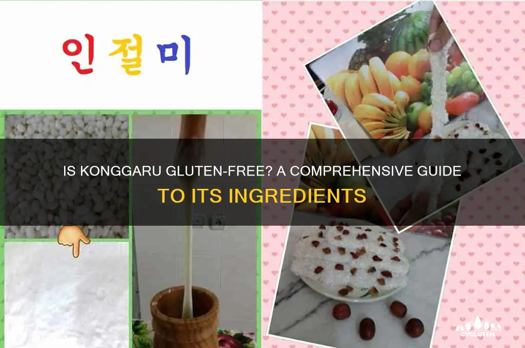 is konggaru gluten free