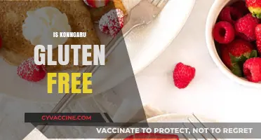 Is Konngaru Gluten-Free? A Comprehensive Guide to Its Ingredients