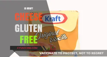 Is Kraft Cheese Gluten-Free? A Complete Guide for Cheese Lovers
