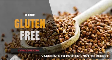Is Kuttu Gluten-Free? Unraveling the Truth About Buckwheat