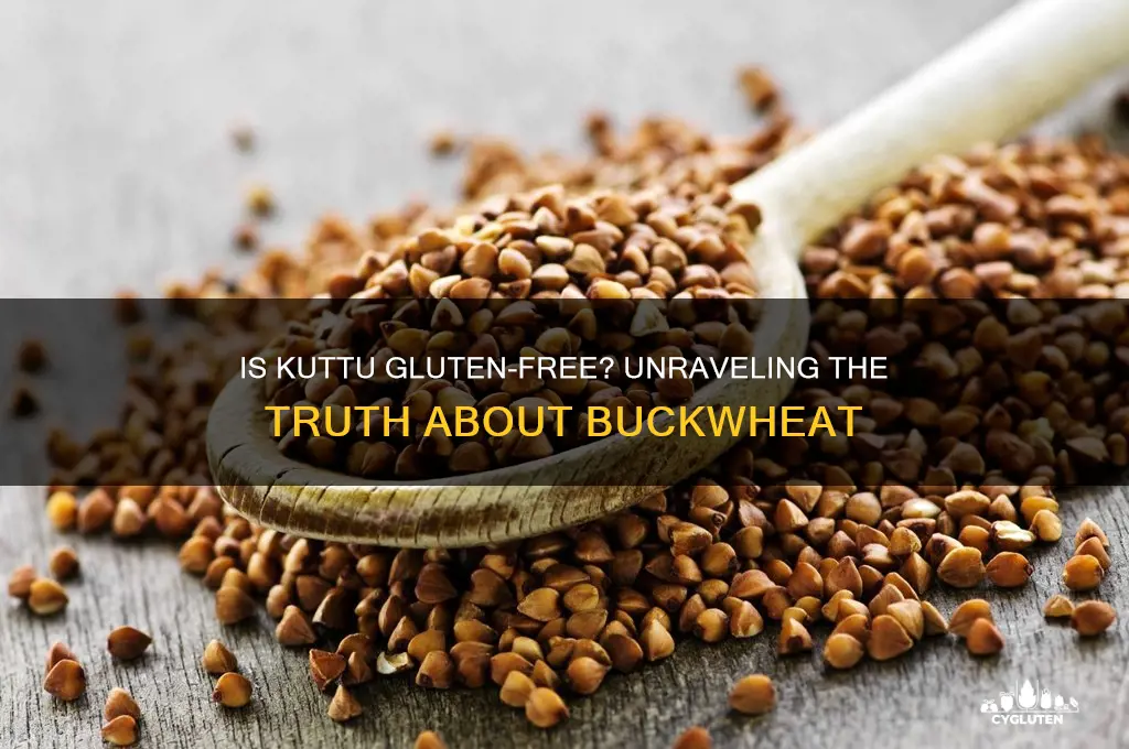 is kuttu gluten free